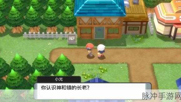 宝可梦晶灿钻石明亮珍珠,宝芬制作全攻略