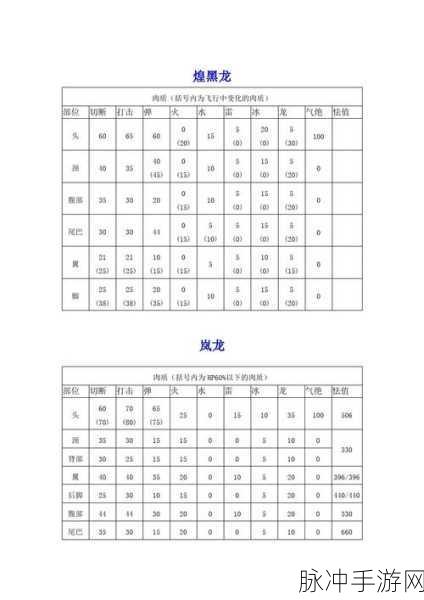 怪物猎人P3，深度解析与常见问题应对策略