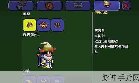 泰拉瑞亚甲虫套获取秘籍,从虫洞探险到荣耀加冕