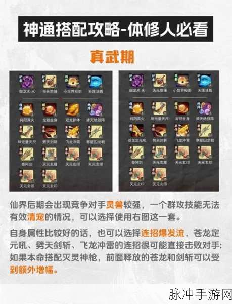 一念逍遥，体修之路，仙魔之选深度剖析