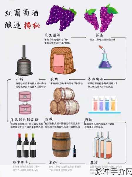 创造与魔法，解锁葡萄酒酿造秘籍，打造你的专属佳酿