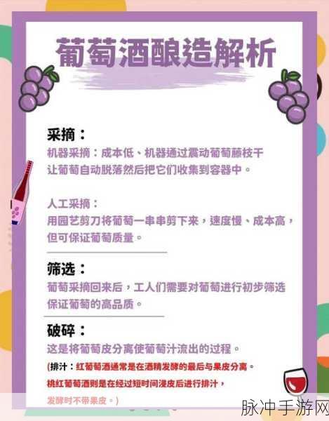创造与魔法,解锁葡萄酒酿造秘籍,打造你的专属佳酿