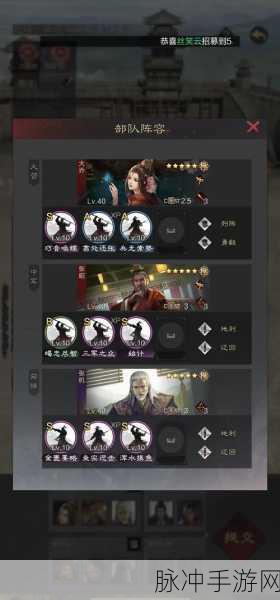 华佗在率土之滨中的可用性及其配将搭配深度剖析