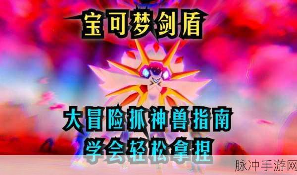 宝可梦剑盾深度解析,如何查看宝可梦几V