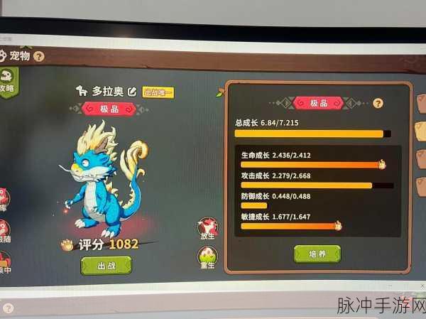石器时代再启航，转宠攻略大揭秘，助你成就转战霸主！