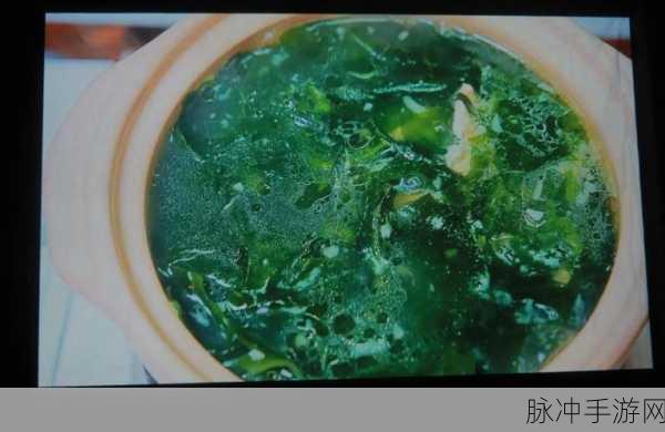 幻塔美食秘籍,解锁紫菜蛋汤的烹饪艺术