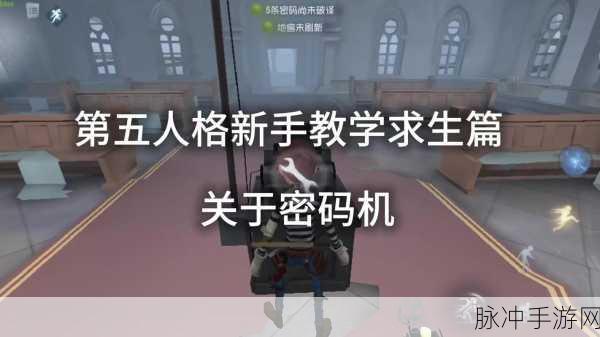 第五人格，深入迷雾，破译密码机，解码庄园的终极之谜