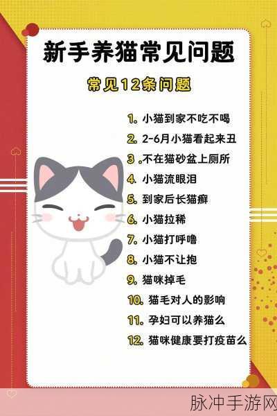 小森生活,萌宠加倍,全面攻略解锁第二只猫咪领养秘籍