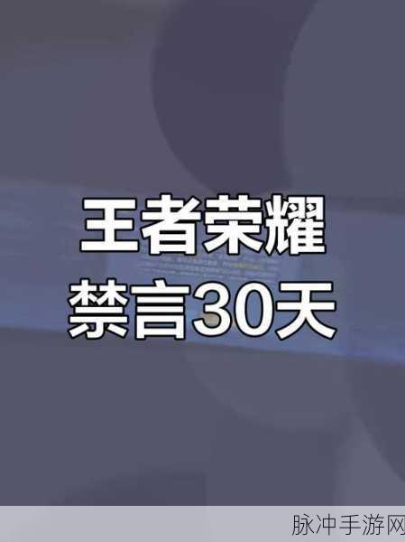 王者荣耀，探究游戏禁言背后的原因
