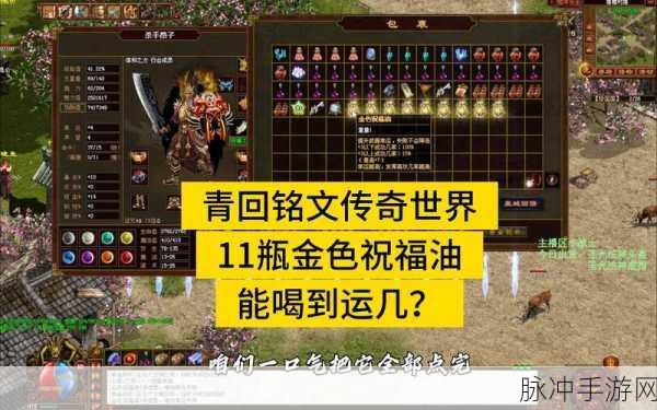 传奇世界新手宝典,资源为王,高效管理策略助你崛起