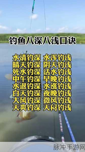 烟雨江湖垂钓秘籍大公开,深度攻略助你探寻收益之巅,垂钓迷的终极指南