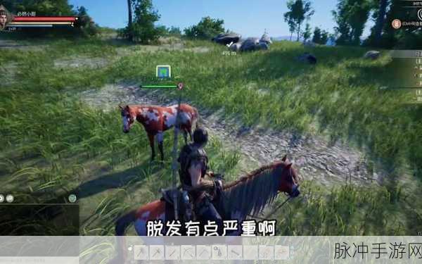 帝国神话深度探索,驯马小游戏——一场智慧与魅力的双重冒险