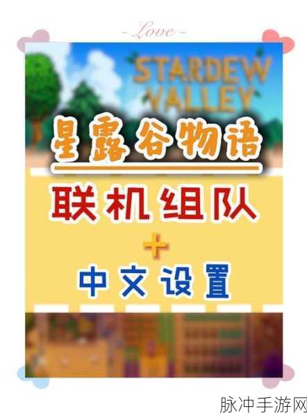 星露谷物语联机难题?这些妙招助你轻松解决!