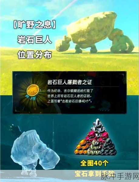 塞尔达传说探险指南,揭秘怪物商店失踪之谜