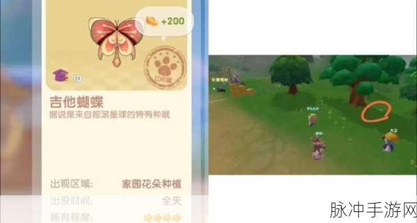 摩尔庄园探险记，揭秘鸡蛋的神秘踪迹，踏上奇幻旅程