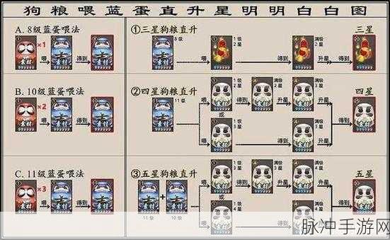 阴阳师红蛋获取秘籍，新手进阶大神的必经之路
