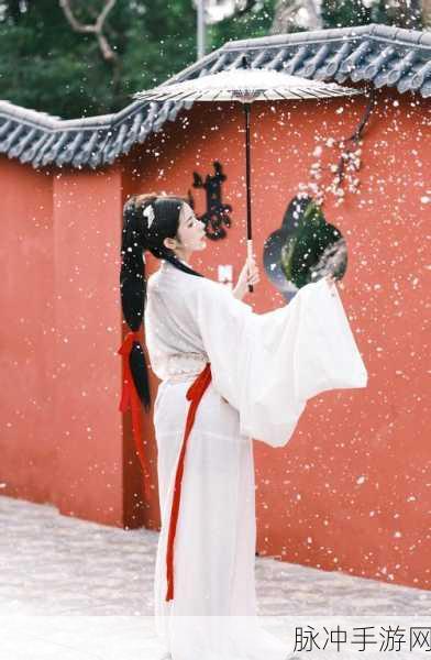 穿越古风,体验夫人日常,我做夫人那些年游戏下载指南