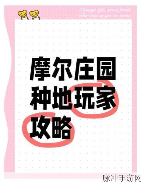 摩尔庄园绵羊养成记，获取攻略与饲养技巧全揭秘