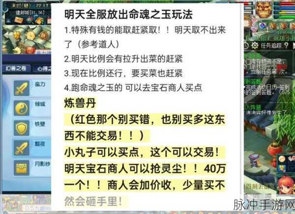 梦幻西游储备善恶点，解锁高效游戏新途径