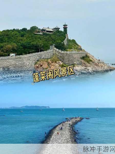 探秘创造与魔法蓬莱仙境,获取蓬莱须的终极攻略