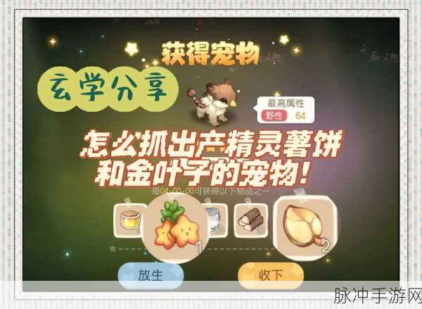 奥比岛探险秘籍，美西螈捕捉全攻略，解锁最佳地点与高效技巧
