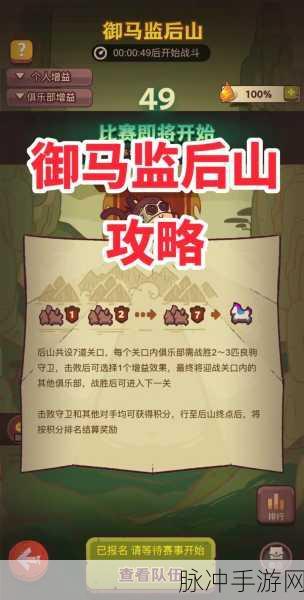 咸鱼之王深度攻略，解锁高效通关秘籍，第75-5关卡不再是梦！