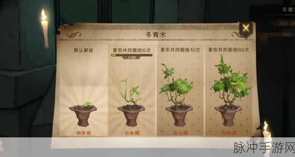 哈利波特魔法觉醒,解锁植物奥秘,拼图攻略大揭秘