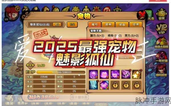 造梦西游3宠物实力大揭秘,谁才是你的战斗伙伴之王?