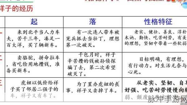 魔法世界的资源大师，骆驼角色深度剖析与策略运用