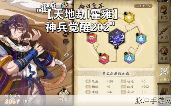 天地劫双双神兵大揭秘,夜胧清宵技能深度剖析