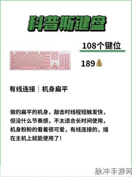 代号街区键盘侠,解锁终极操作秘籍,精湛技巧让你街区无敌