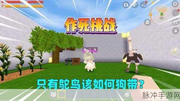 迷你世界探险指南,轻松获取鸵鸟蛋的秘籍