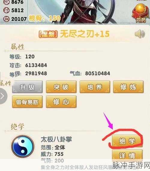 大掌门2零氪攻略，高效玩法与使用技巧全揭秘