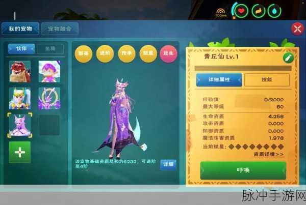 创造与魔法，东海石获取秘籍，解锁称霸之路！
