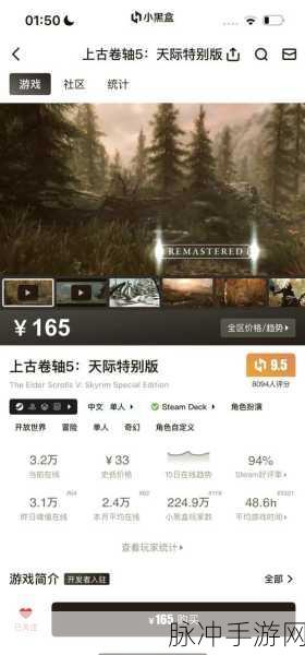 Steam上古卷轴5,揭秘代码编织的奇幻世界