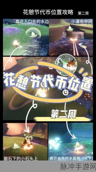 光遇雨林赏花任务全攻略，解锁美丽与奖励的秘诀