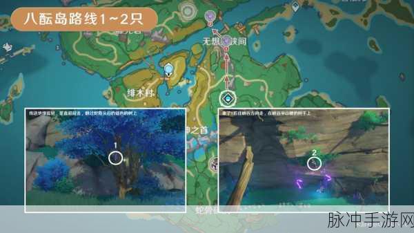 原神鬼兜虫全刷新点深度解析及高效捕捉秘籍