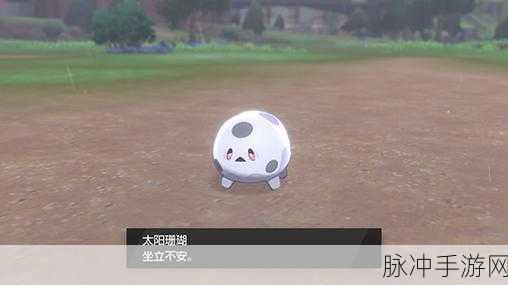 宝可梦大探险太阳珊瑚进化揭秘，等级与策略全解析