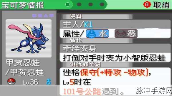 口袋妖怪刽曜之影,揭秘115号公路的探险之旅