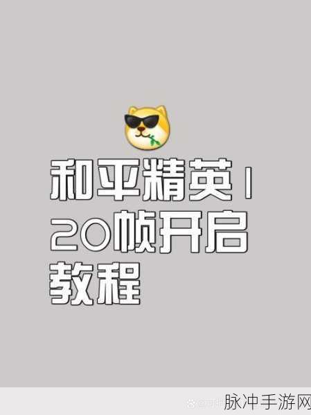 和平精英120帧率开启全攻略，流畅战斗新体验