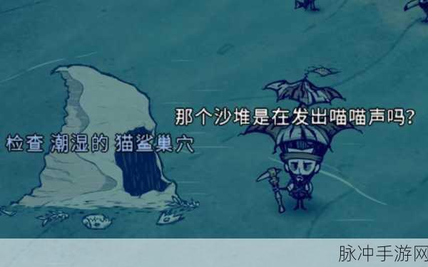 海浪之舞探秘,饥荒海难中虎鲨的刷新奥秘大公开