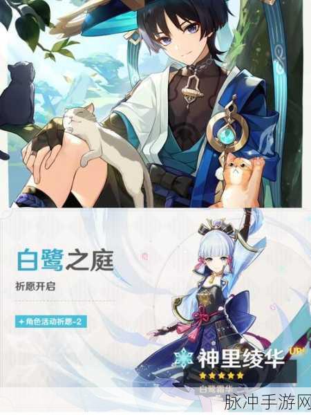 原神白鹭之约,梦幻盛宴,邀你共赴奇妙之旅