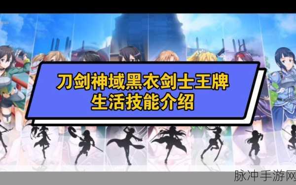 刀剑神域黑衣剑士王牌技能卡深度剖析与升星碎片全攻略