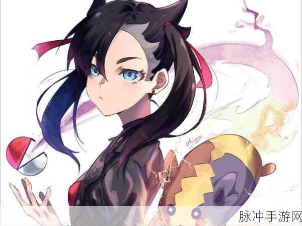 宝可梦剑盾，揭开沉重球背后的未解之谜