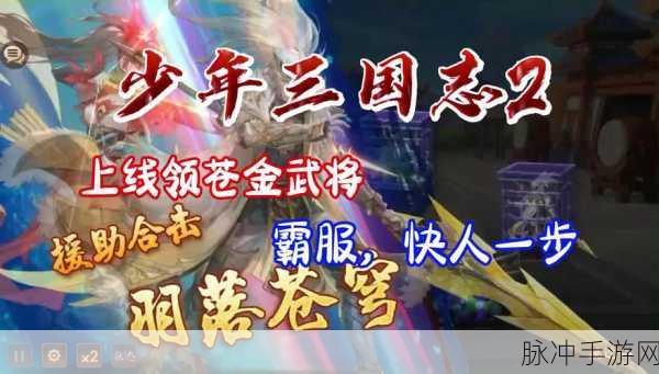 少年三国志激活码输入全攻略