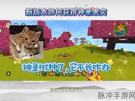 迷你世界,解锁神圣果实的全面攻略