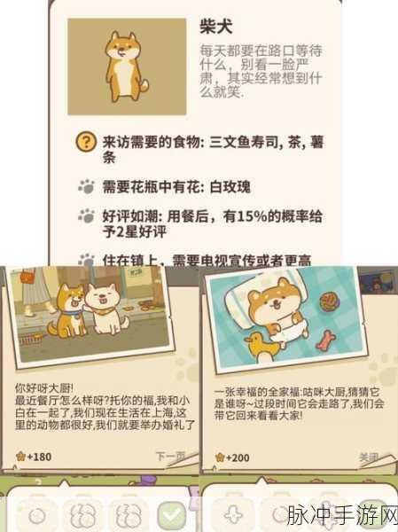 动物餐厅全客人解锁秘籍，打造你的梦幻餐厅