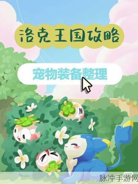 洛克王国小生宝箱解锁秘籍，探寻宝藏之门的智慧之旅