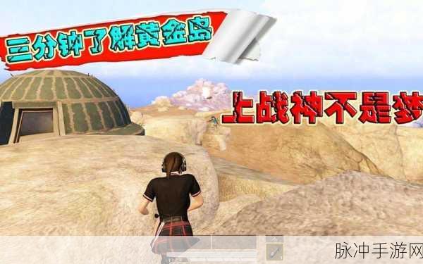 和平精英黄金岛暗道揭秘,掌握获胜技巧,轻松吃鸡
