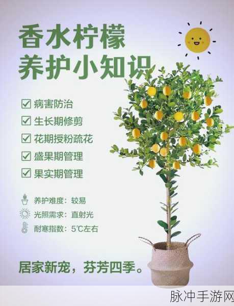 妄想山海柠檬树探秘，解锁最佳种植点与绝美景观之旅